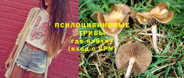 прущая мука Арсеньев