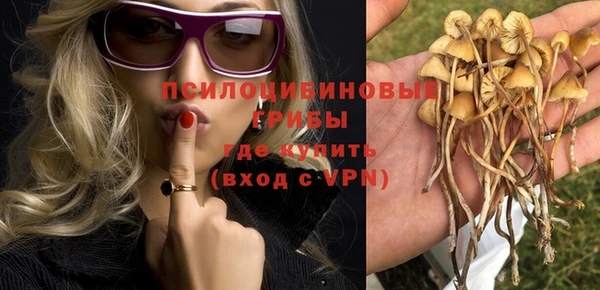 прущая мука Арсеньев